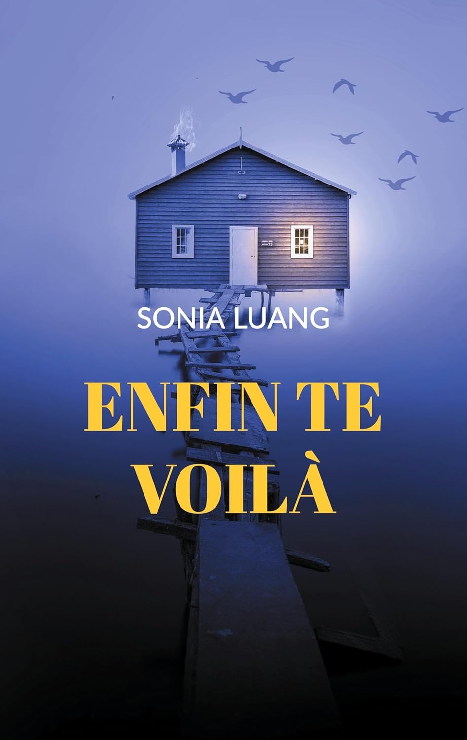 livre-sonia-luang-enfin-te-voila